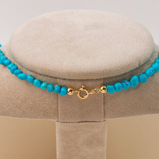 Turquoise and Coral Horn Necklace with 18kt Gold Clasp - Good Luck