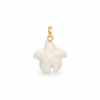 Ciondolo Stella in Corallo Bianco e Oro | Don Alfonso Capri